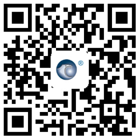 the qr code
